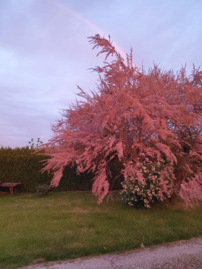 Au Petit Paradis Sainte-Gauburge-Sainte-Colombe 외부 사진